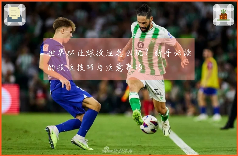 世界杯让球投注怎么玩？新手必读的投注技巧与注意事项