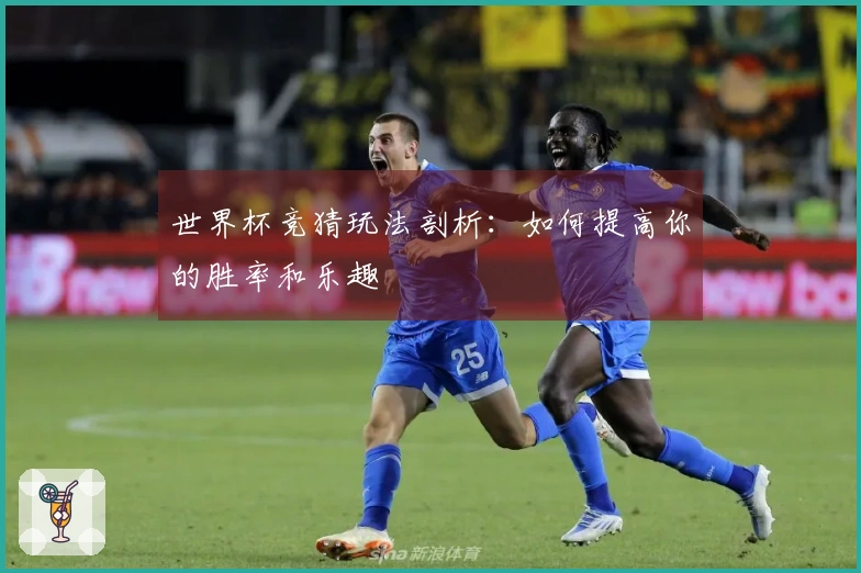 世界杯竞猜玩法剖析：如何提高你的胜率和乐趣
