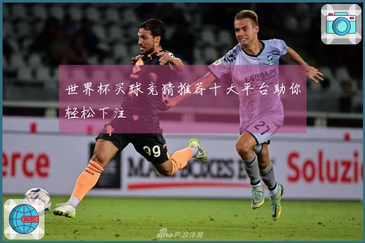 世界杯买球竞猜推荐十大平台助你轻松下注