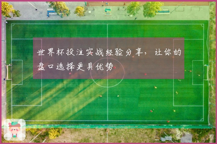世界杯投注实战经验分享，让你的盘口选择更具优势