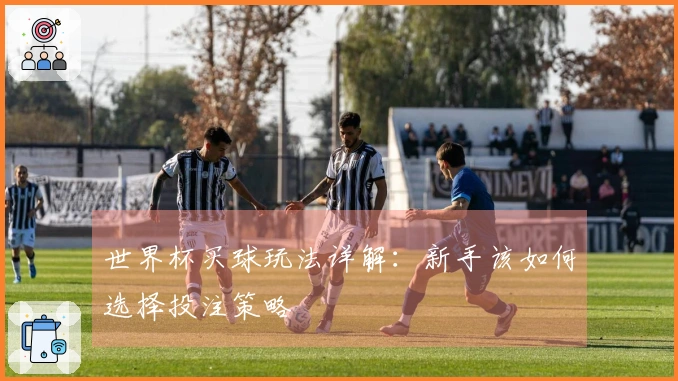 世界杯买球玩法详解：新手该如何选择投注策略