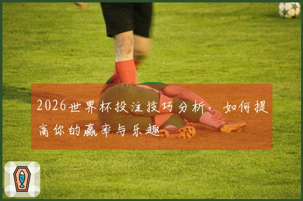2026世界杯投注技巧分析，如何提高你的赢率与乐趣