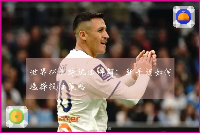 世界杯买球玩法详解：新手该如何选择投注策略