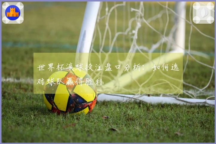 世界杯滚球投注盘口分析：如何选对球队赢得胜利