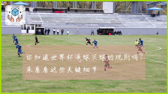 你知道世界杯滚球买球的规则吗？来看看这些关键细节