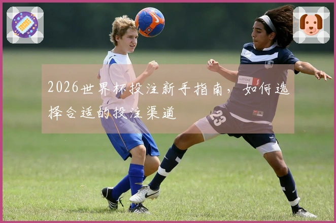 2026世界杯投注新手指南，如何选择合适的投注渠道