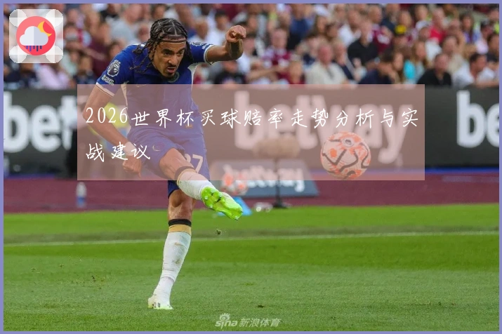 2026世界杯买球赔率走势分析与实战建议
