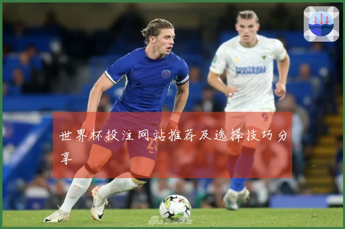 世界杯投注网站推荐及选择技巧分享