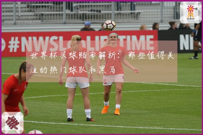 世界杯买球赔率解析：那些值得关注的热门球队和黑马
