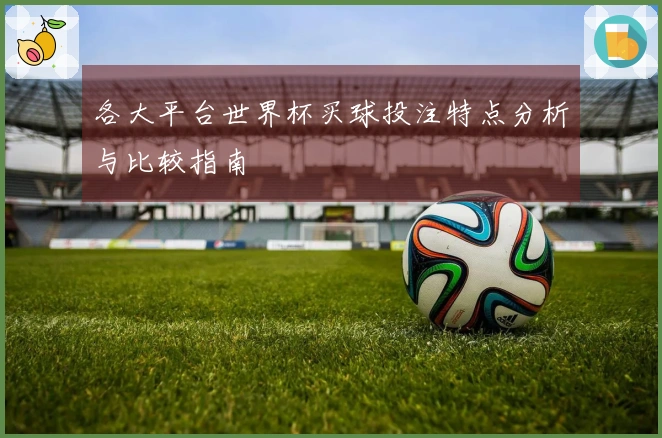 各大平台世界杯买球投注特点分析与比较指南