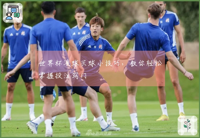 世界杯滚球买球小技巧，教你轻松掌握投注窍门