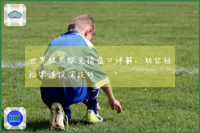 世界杯买球竞猜盘口详解，助你轻松掌握投注技巧