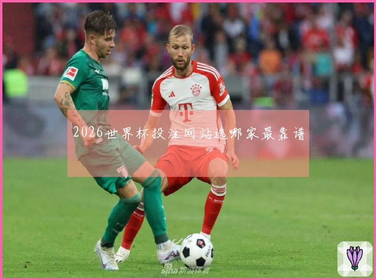 2026世界杯投注网站选哪家最靠谱าสตร์ ნაბიჯ