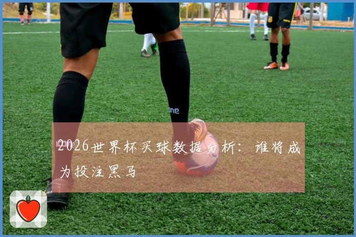 2026世界杯买球数据分析：谁将成为投注黑马