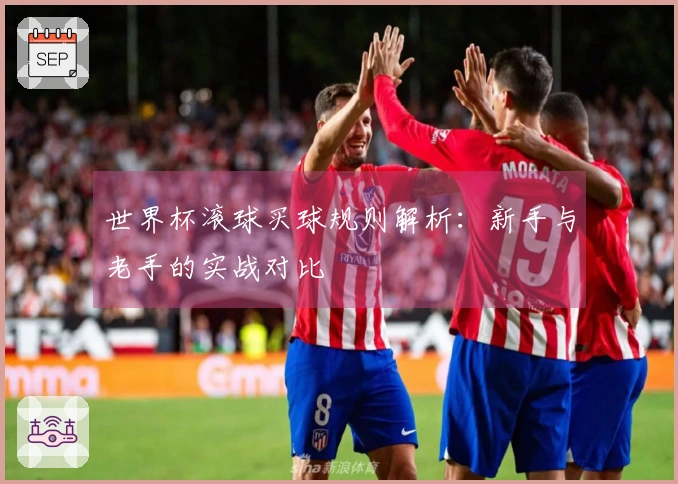 世界杯滚球买球规则解析：新手与老手的实战对比