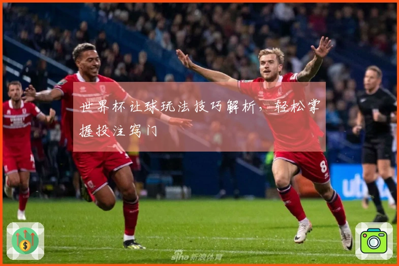 世界杯让球玩法技巧解析，轻松掌握投注窍门