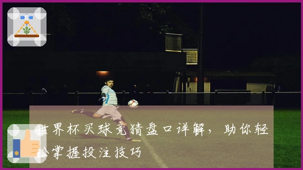 世界杯买球竞猜盘口详解，助你轻松掌握投注技巧