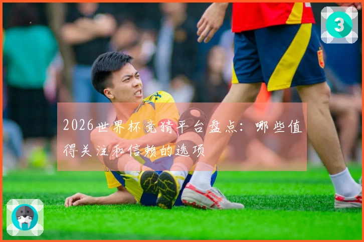 2026世界杯竞猜平台盘点：哪些值得关注和信赖的选项