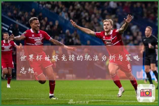 世界杯让球竞猜的玩法分析与策略总结