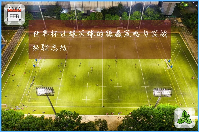 世界杯让球买球的稳赢策略与实战经验总结