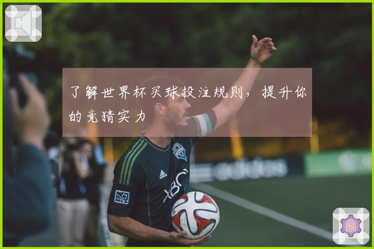 了解世界杯买球投注规则，提升你的竞猜实力