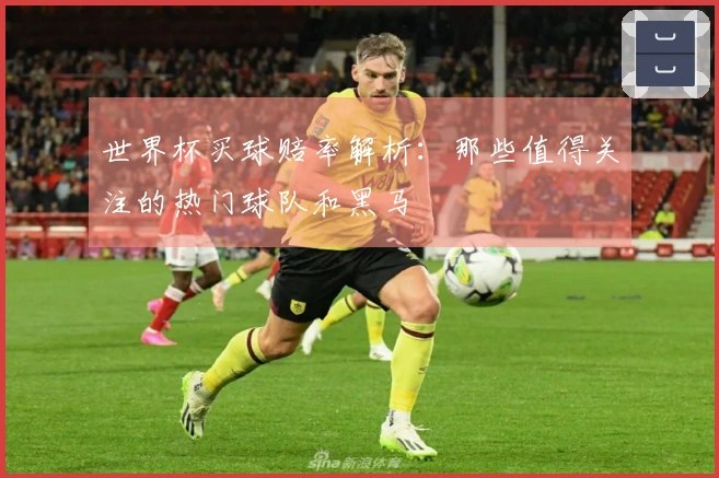 世界杯买球赔率解析：那些值得关注的热门球队和黑马