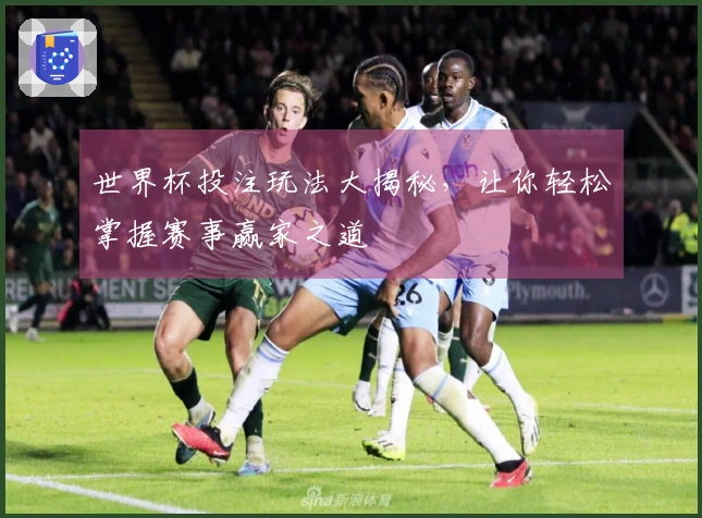 世界杯投注玩法大揭秘，让你轻松掌握赛事赢家之道