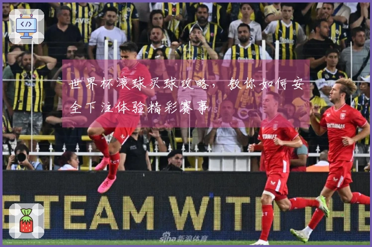 世界杯滚球买球攻略,教你如何安全下注体验精彩赛事