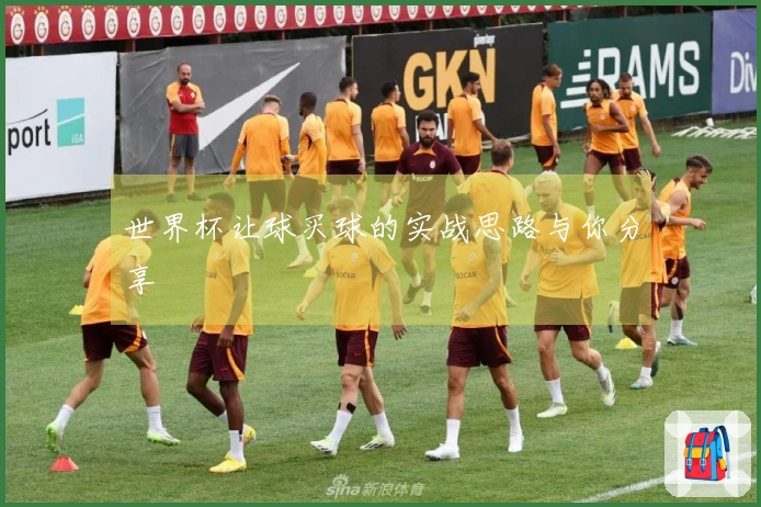 世界杯让球买球的实战思路与你分享