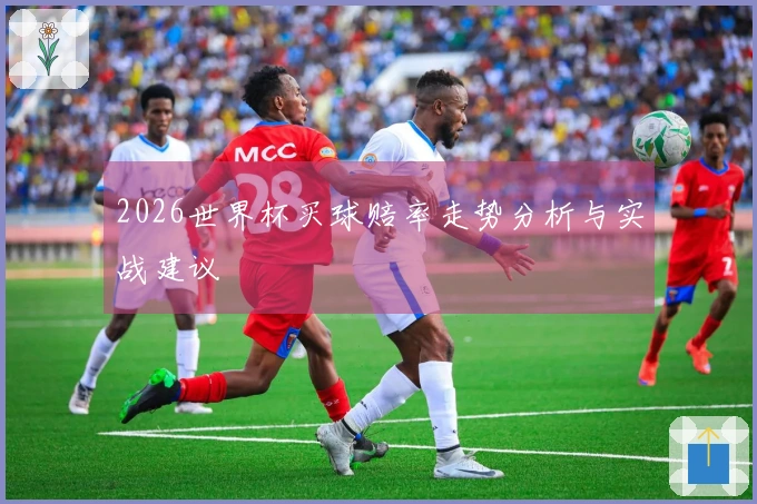 2026世界杯买球赔率走势分析与实战建议