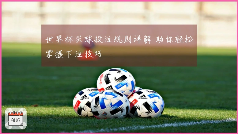 世界杯买球投注规则详解 助你轻松掌握下注技巧